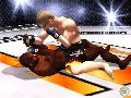 UFC: Tapout Screenshot 318