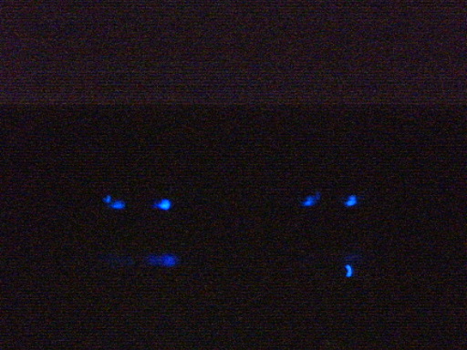 IMG00011.JPG