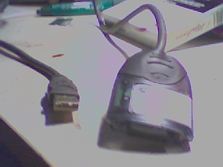 Picture 1.jpg