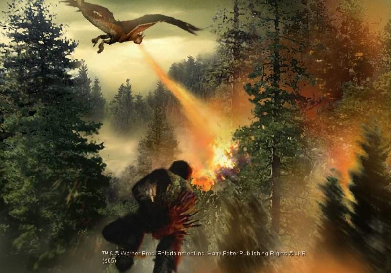 Harry Potter and the Goblet of Fire Screenshot 1109 for Original XBOX
